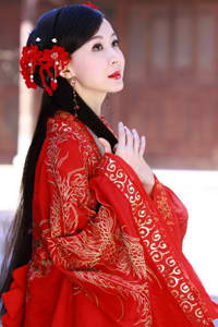 电视剧新女婿时代